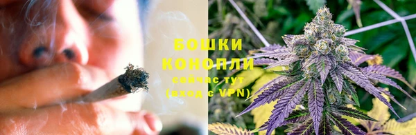 гидропоника Новодвинск